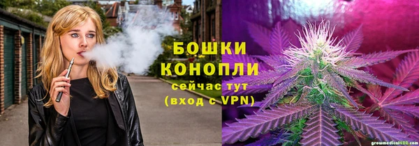 сатива Алагир