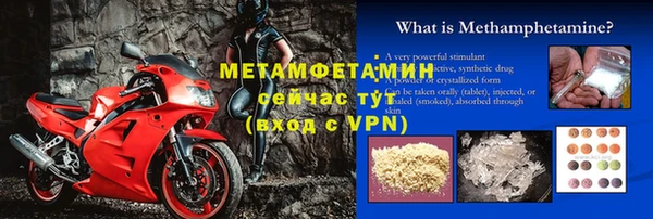 сатива Алагир