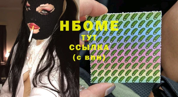 сатива Алагир